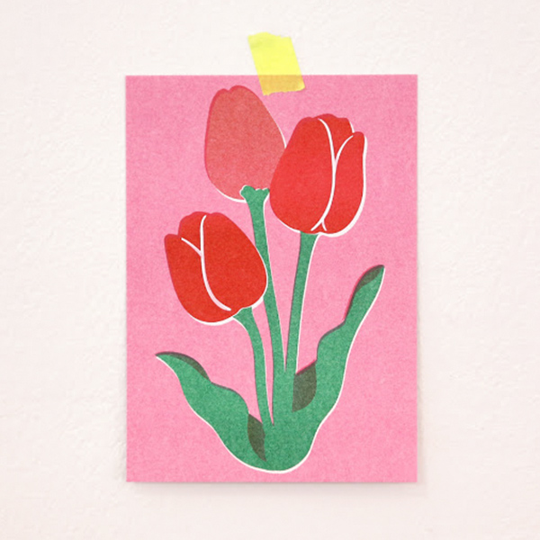 [아프로캣]리소 월그리띵카드_ Tulip pink-APNSLIWCDTP