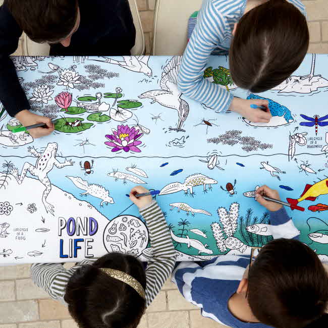 [잇슬립두들]pond life tablecloth - colour in & learn 컬러아트 연못 식탁보