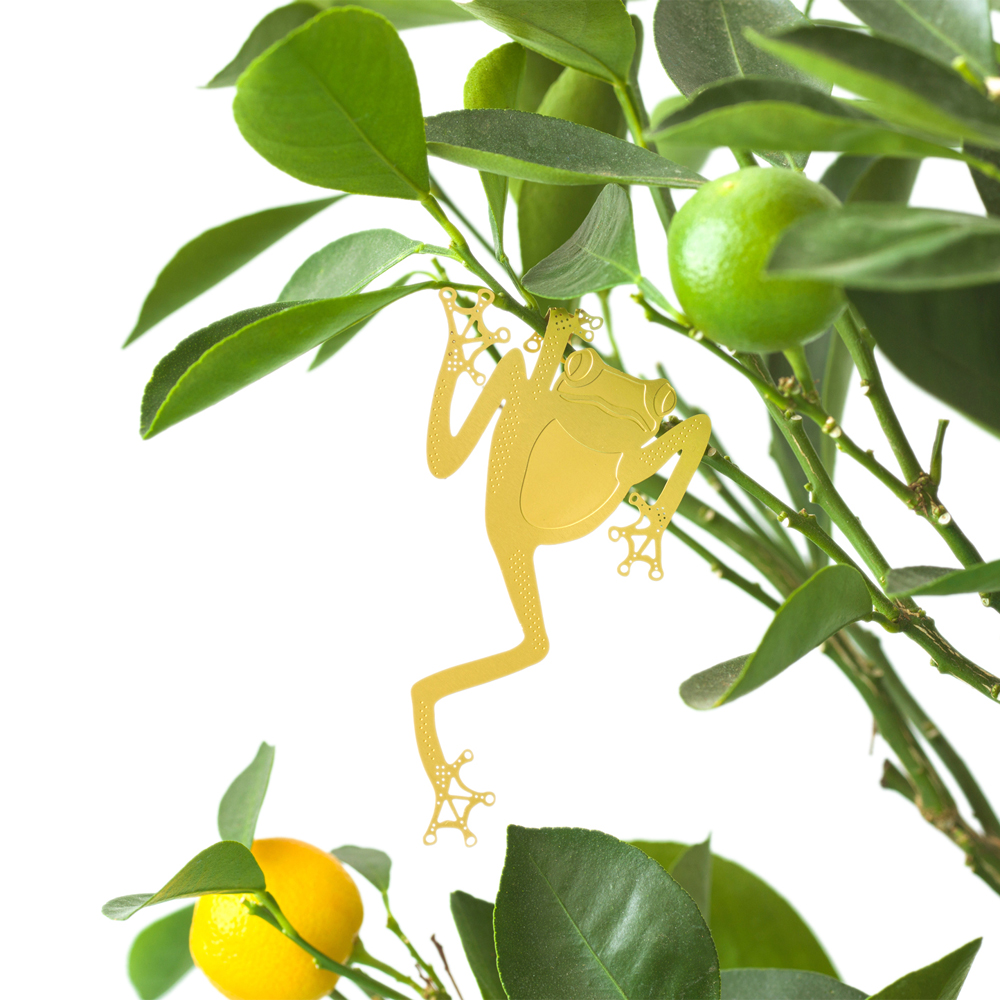 에디크[어나더스튜디오] 식물 데코 플랜트 애니멀 - 청개구리