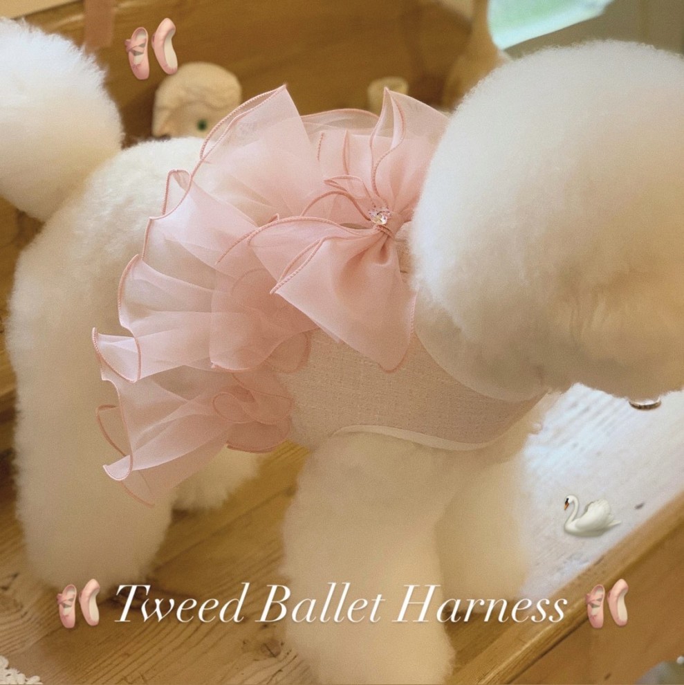 [Ϸ]Ʈ ߷ ϳ׽  tweed ballet harness