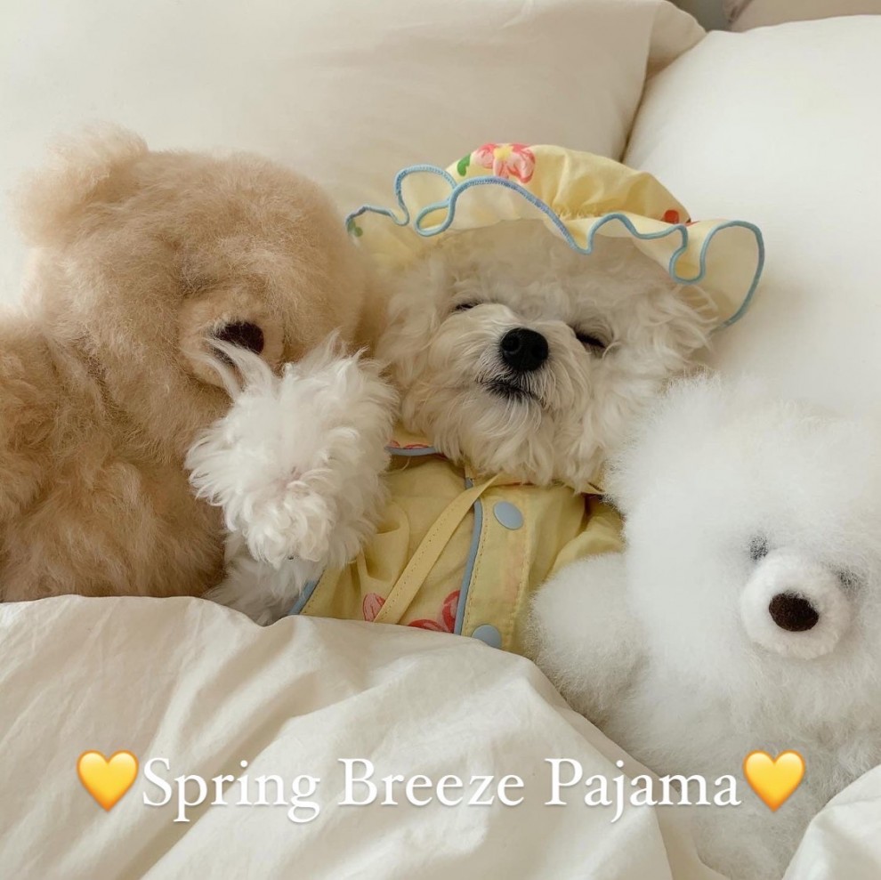 [Ϸ] 긮 ڸ spring breeze pajama