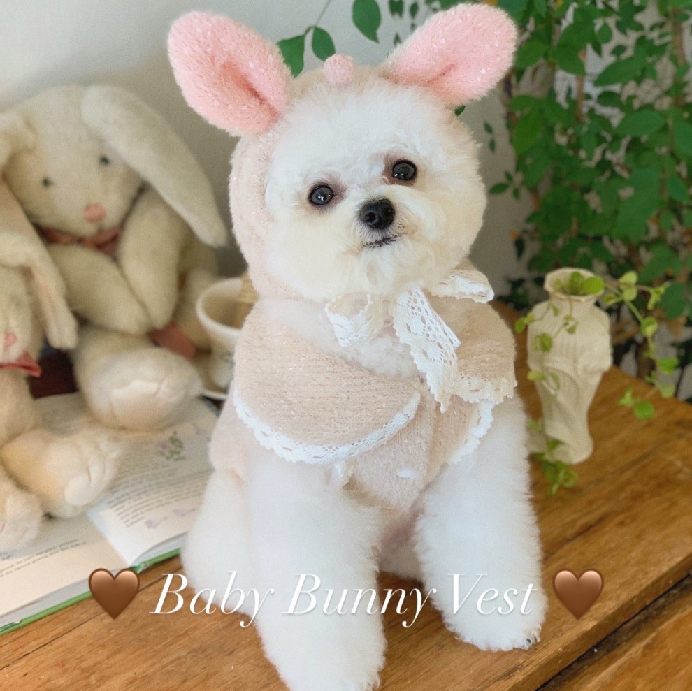 [Ϸ]̺  Ʈ baby bunny vest