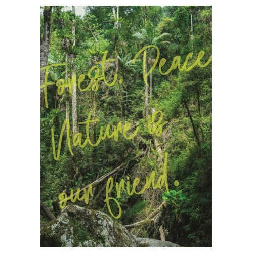 [아티웨이브]포레스트 피스 Forest, Peace 포스터