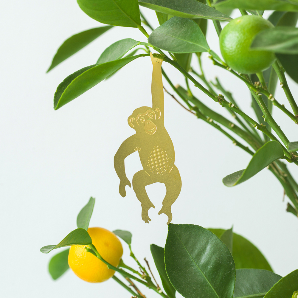 에디크[어나더스튜디오]식물 데코 플랜트 애니멀 - 침팬지